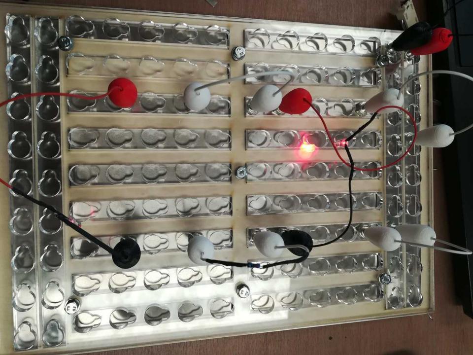 Medium breadboard